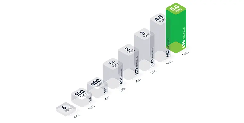 Digital_graph_of_NAPAfrica's_growth