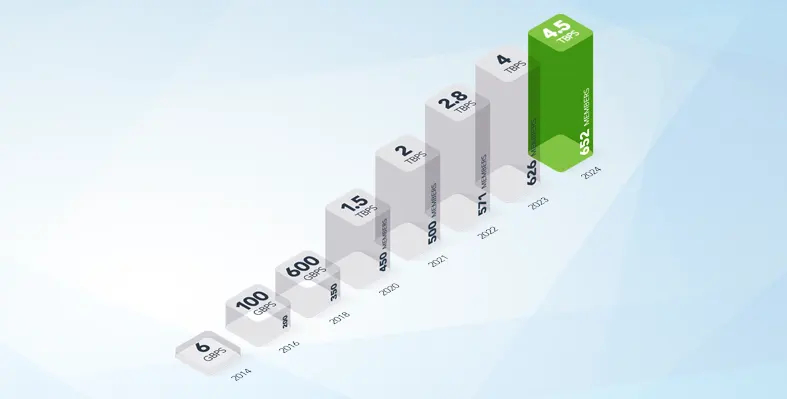 Graph illustrating NAPAfrica's traffic growth