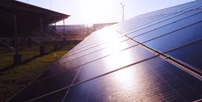 Image of Teraco's solar project