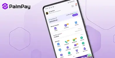 PalmPay_App_Interface